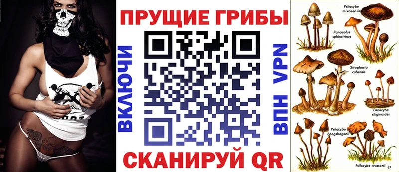 Купить  Аша  Псилоцибиновые грибы ЛСД 